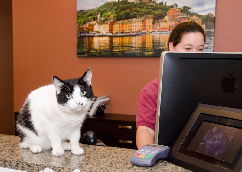 Carousel Slide 3: Come take our virtual clinic tour!