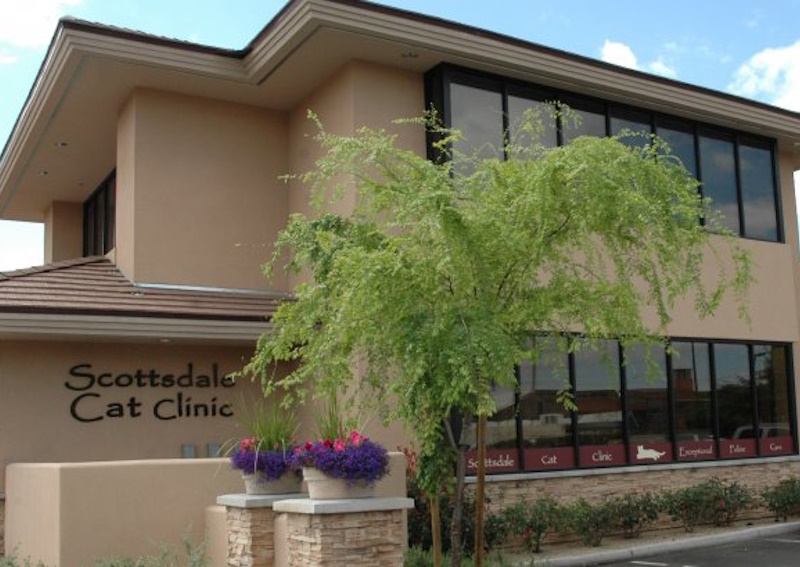 Carousel Slide 5: Meet Scottsdale Cat Clinic's veterinarians